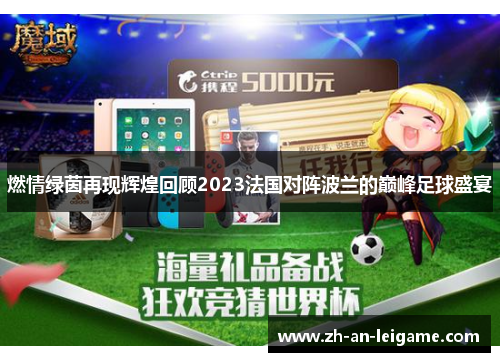 燃情绿茵再现辉煌回顾2023法国对阵波兰的巅峰足球盛宴