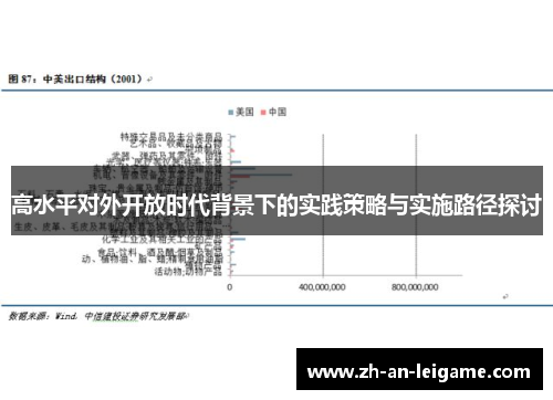 高水平对外开放时代背景下的实践策略与实施路径探讨