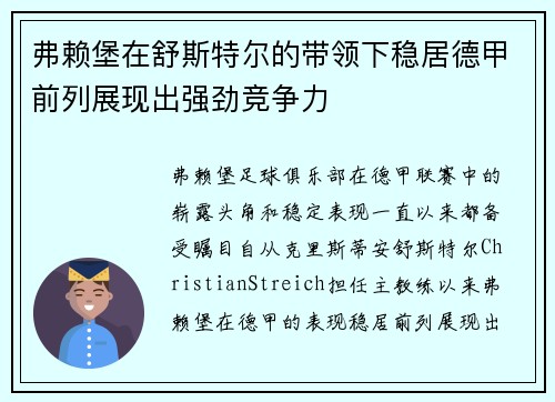 弗赖堡在舒斯特尔的带领下稳居德甲前列展现出强劲竞争力