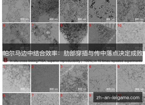帕尔马边中结合效率:肋部穿插与传中落点决定成败 帕尔马边中结合效率:肋部穿插与传中落点决定成败